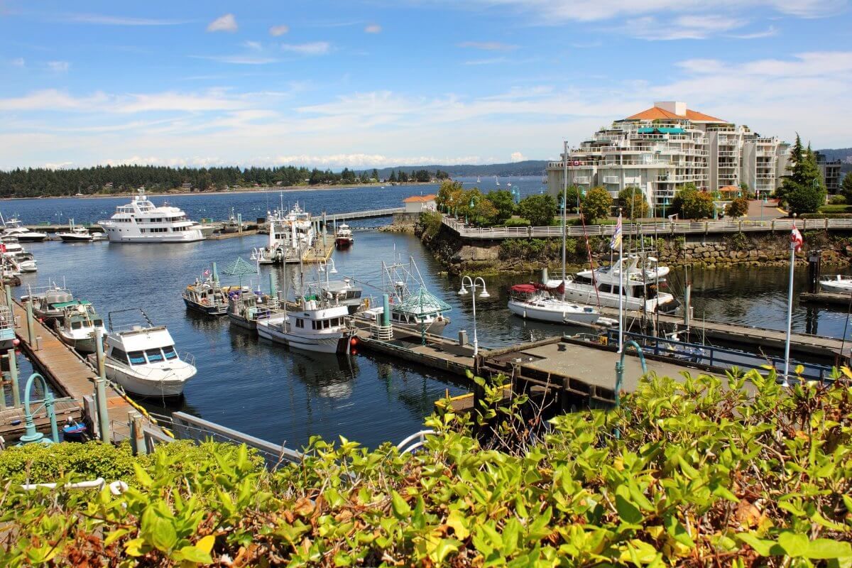 Image of Coombs Market