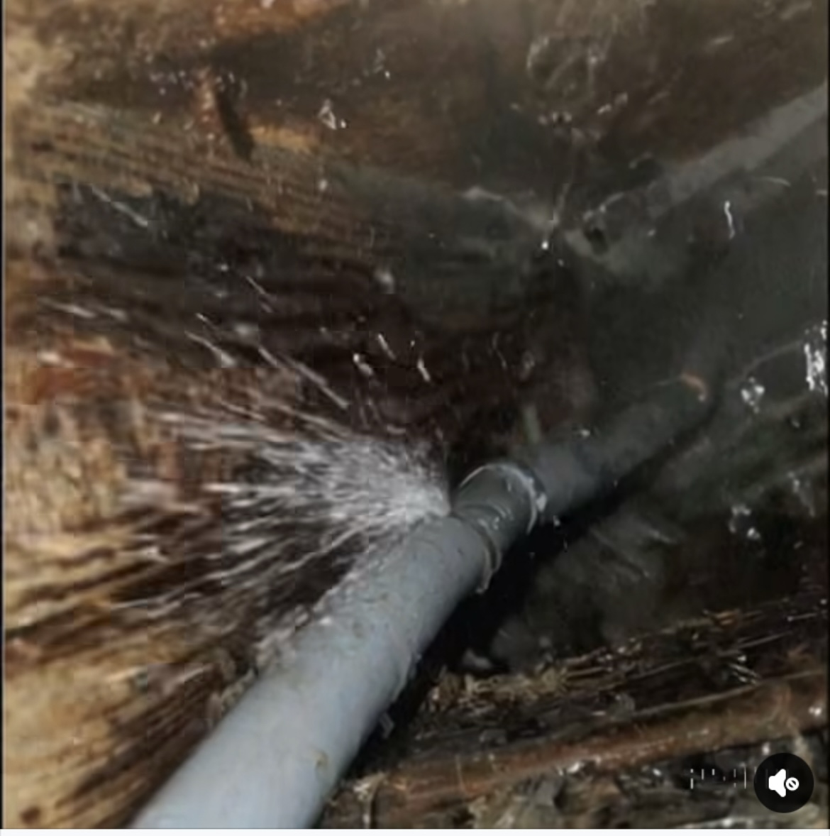 poly b pipe leaking plumber needs replacement