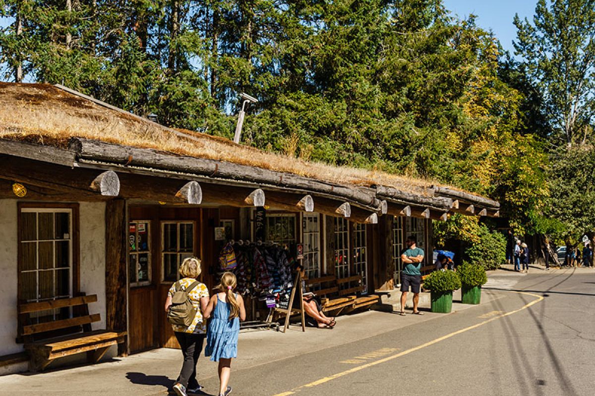 Image of Coombs Market